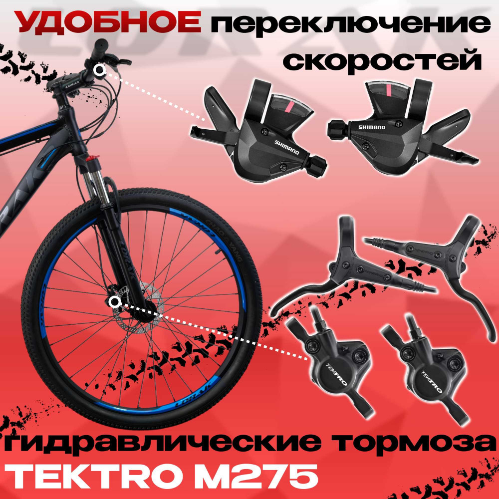 Lorak Sel 8900 HD Чёрный/Синий Матовый 21р (на рост 183-190)